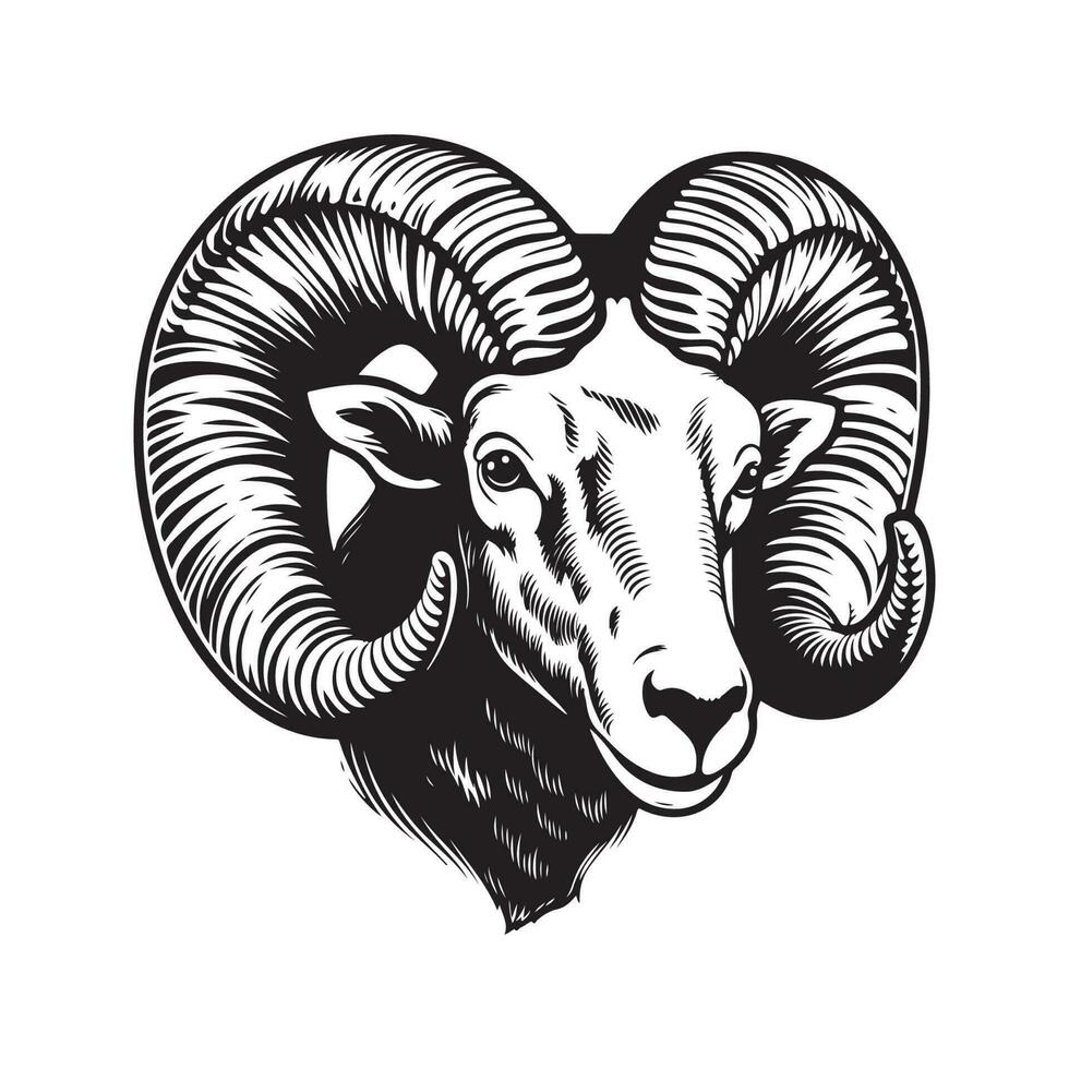 RAM, ancien logo ligne art concept noir et blanc couleur, main tiré illustration vecteur