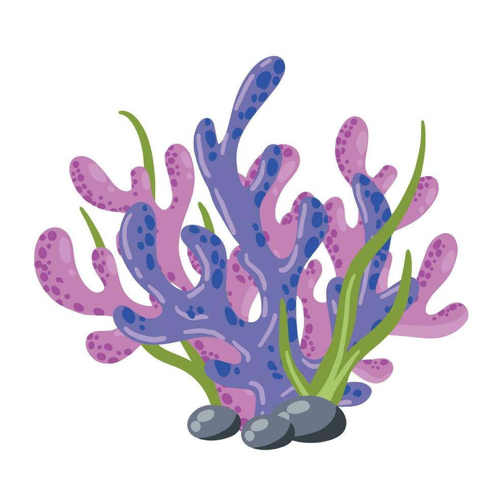 corail récif et algue sous-marin plante. aquarium, océan et sous-marin décoration isolé sur blanc Contexte. Marin tropical l'eau vie. dessin animé vecteur illustration