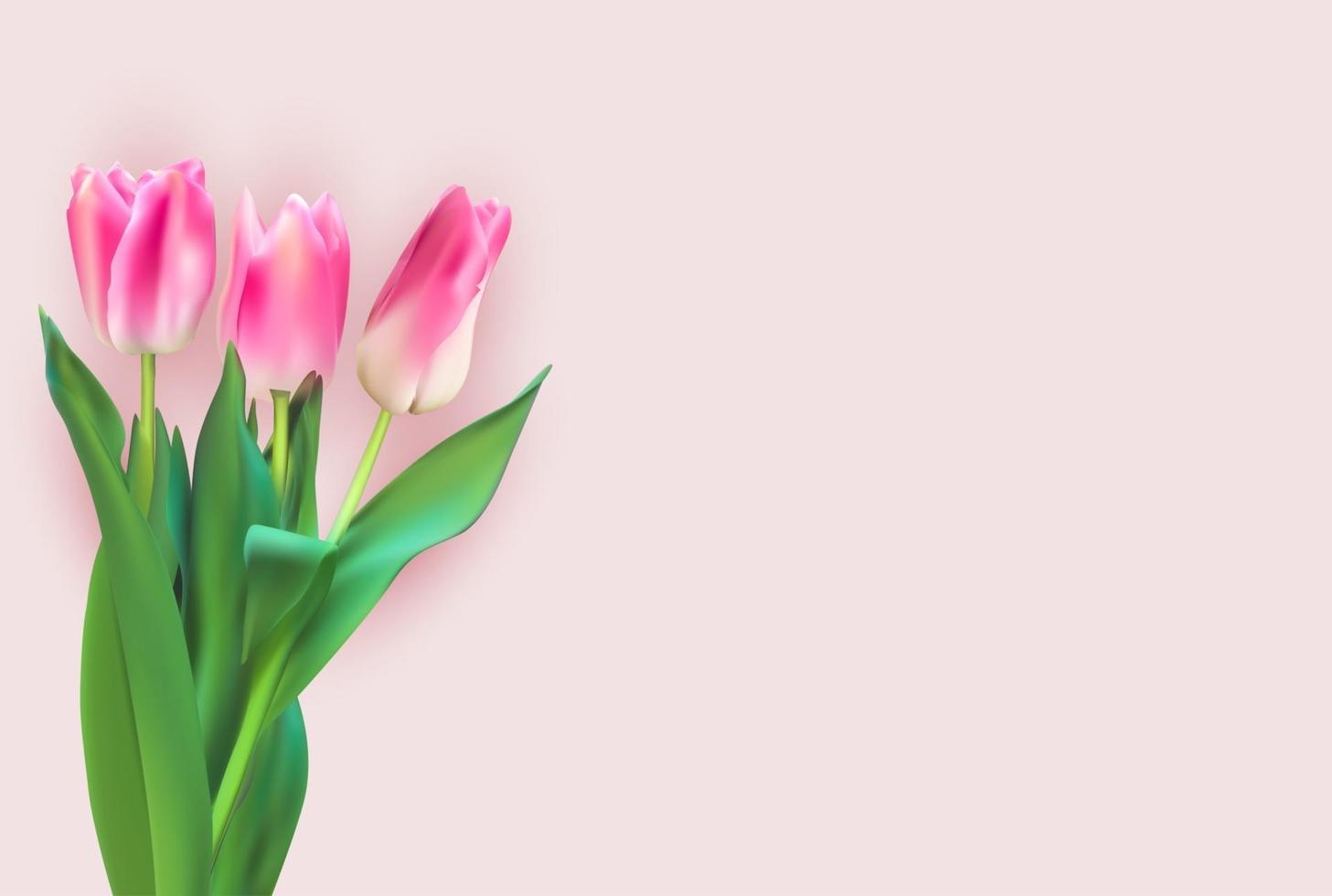 fond de tulipes colorées illustration vectorielle réaliste vecteur