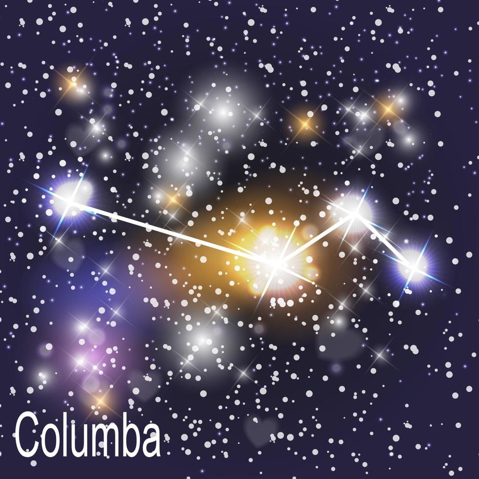 constellation de columba avec de belles étoiles brillantes sur le fond de l & # 39; illustration vectorielle de ciel cosmique vecteur