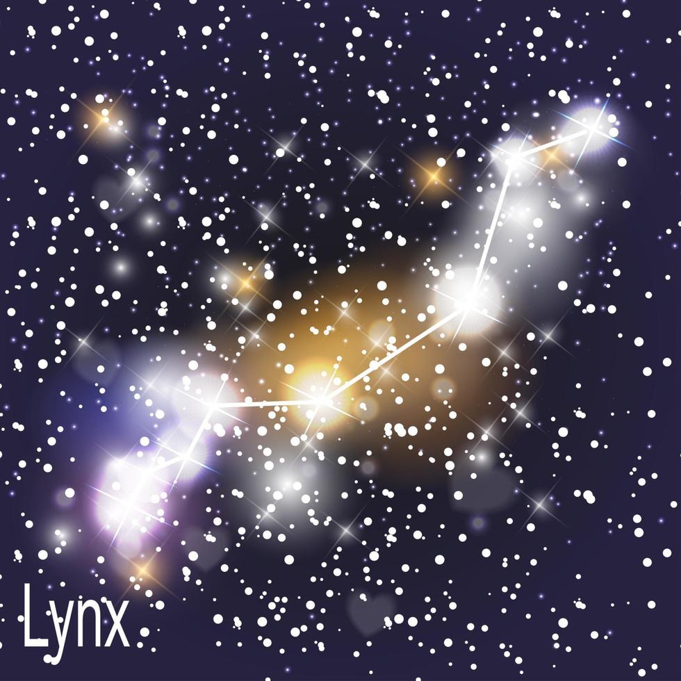 Constellation du lynx avec de belles étoiles brillantes sur le fond de l & # 39; illustration vectorielle de ciel cosmique vecteur