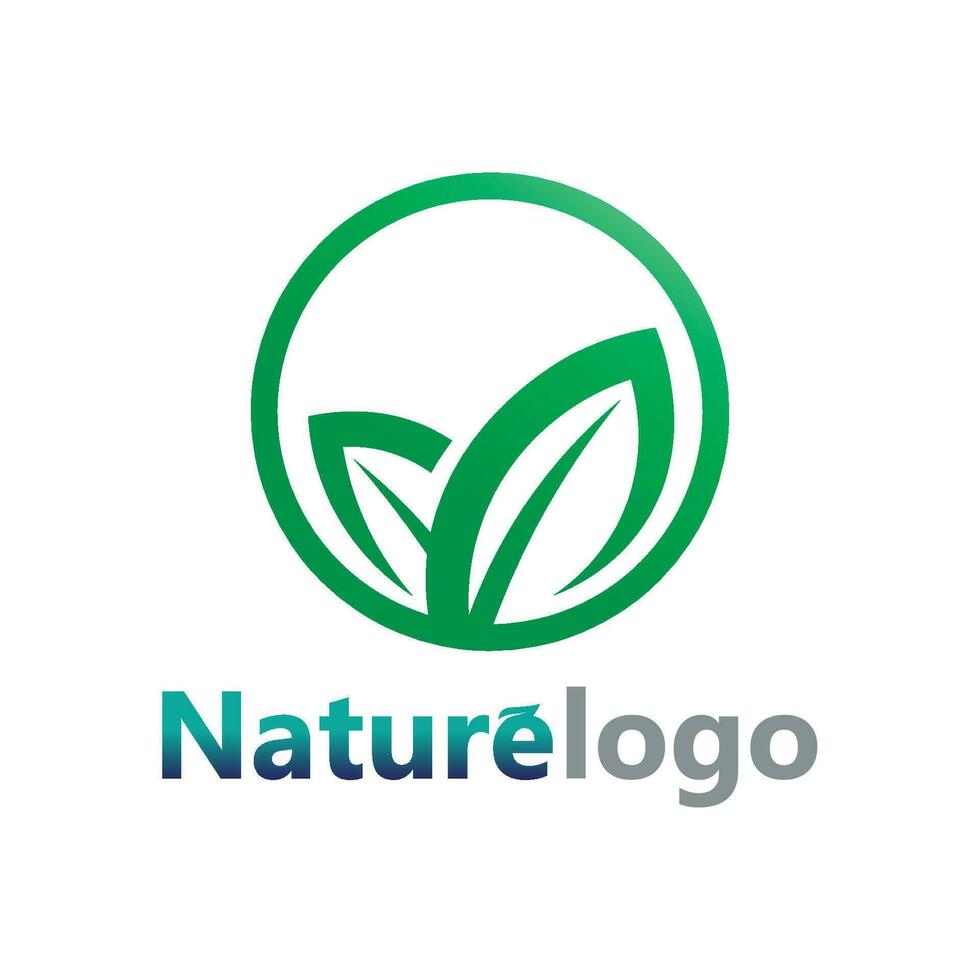 vecteur de conception de logo de feuille pour le modèle de symbole de nature modifiable, icône de vecteur d'élément de nature d'écologie de logo de feuille verte.