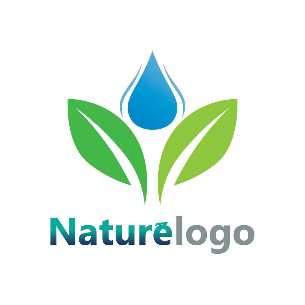 vecteur de conception de logo de feuille pour le modèle de symbole de nature modifiable, icône de vecteur d'élément de nature d'écologie de logo de feuille verte.