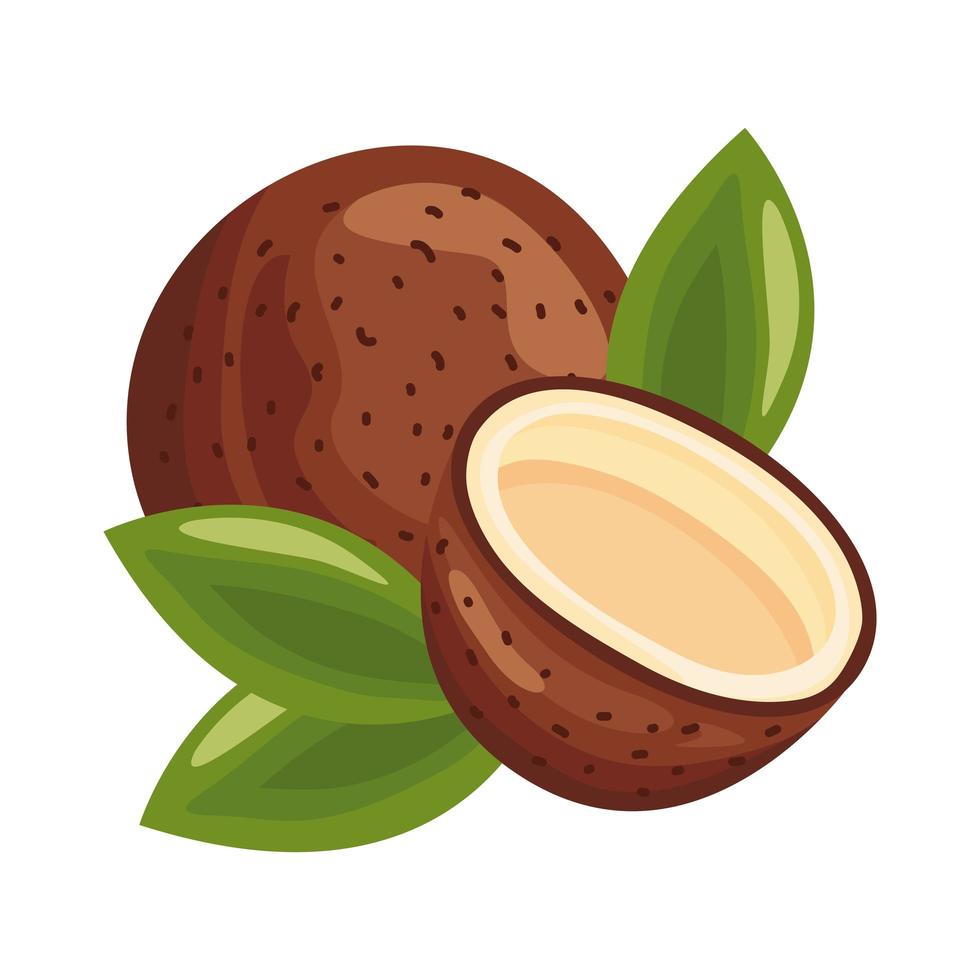 icône de style détaillé de fruits délicieux frais de noix de coco vecteur