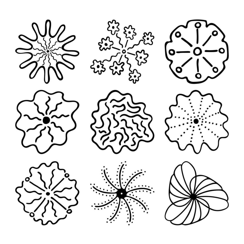 esquisser des fleurs de contour de doodle. dessin dessiné à la main de bourgeons de plantes pendant la floraison. silhouettes de pétales. vecteur isolé.