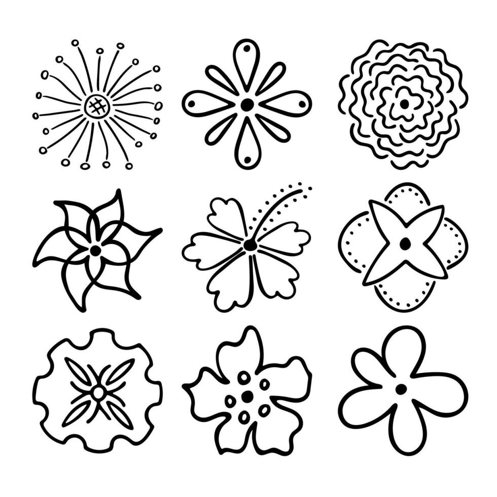 esquisser des fleurs de contour de doodle. dessin dessiné à la main de bourgeons de plantes pendant la floraison. silhouettes de pétales. vecteur isolé.
