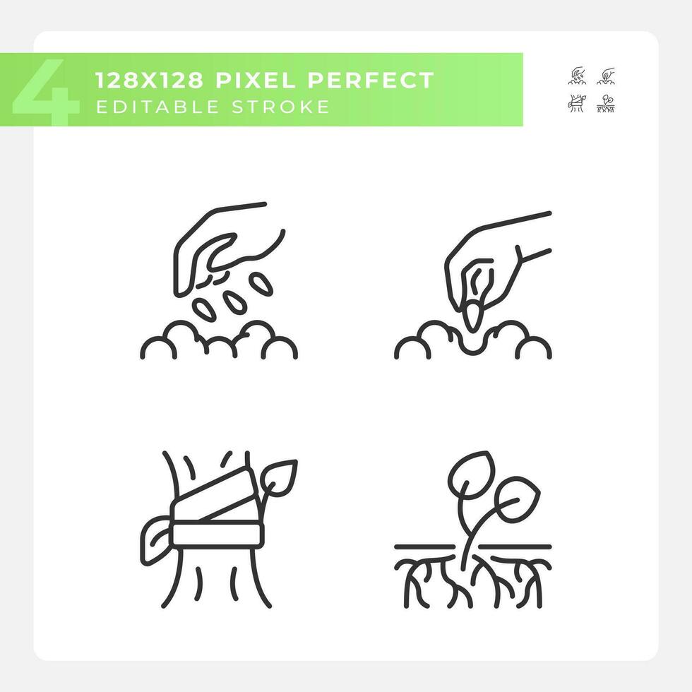 croissance les plantes linéaire Icônes ensemble. biologique jardinage. la graine germination. horticulture agriculture. surgir croissance. personnalisable mince ligne symboles. isolé vecteur contour illustrations. modifiable accident vasculaire cérébral