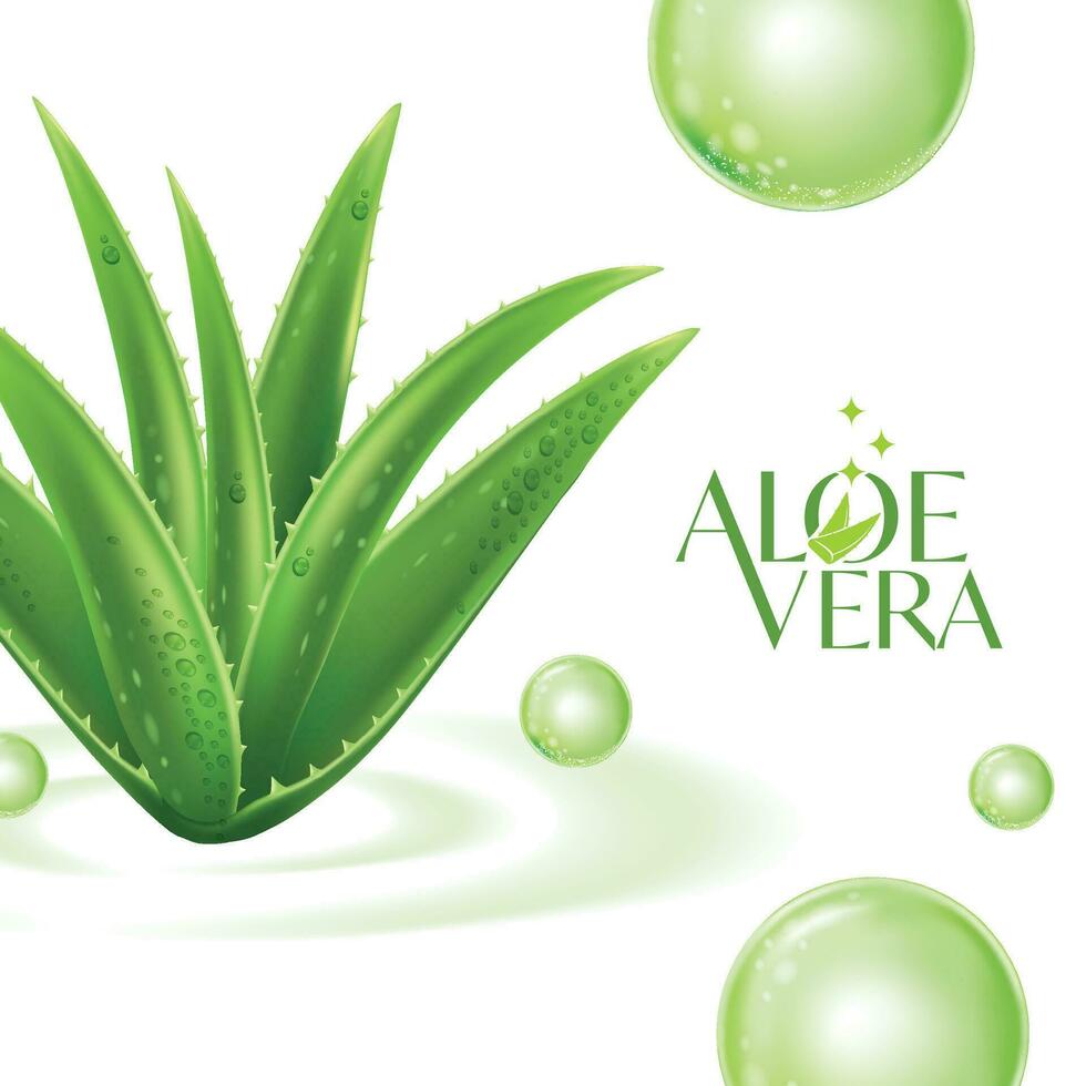 aloès Vera collagène sérum peau se soucier cosmétique. vecteur