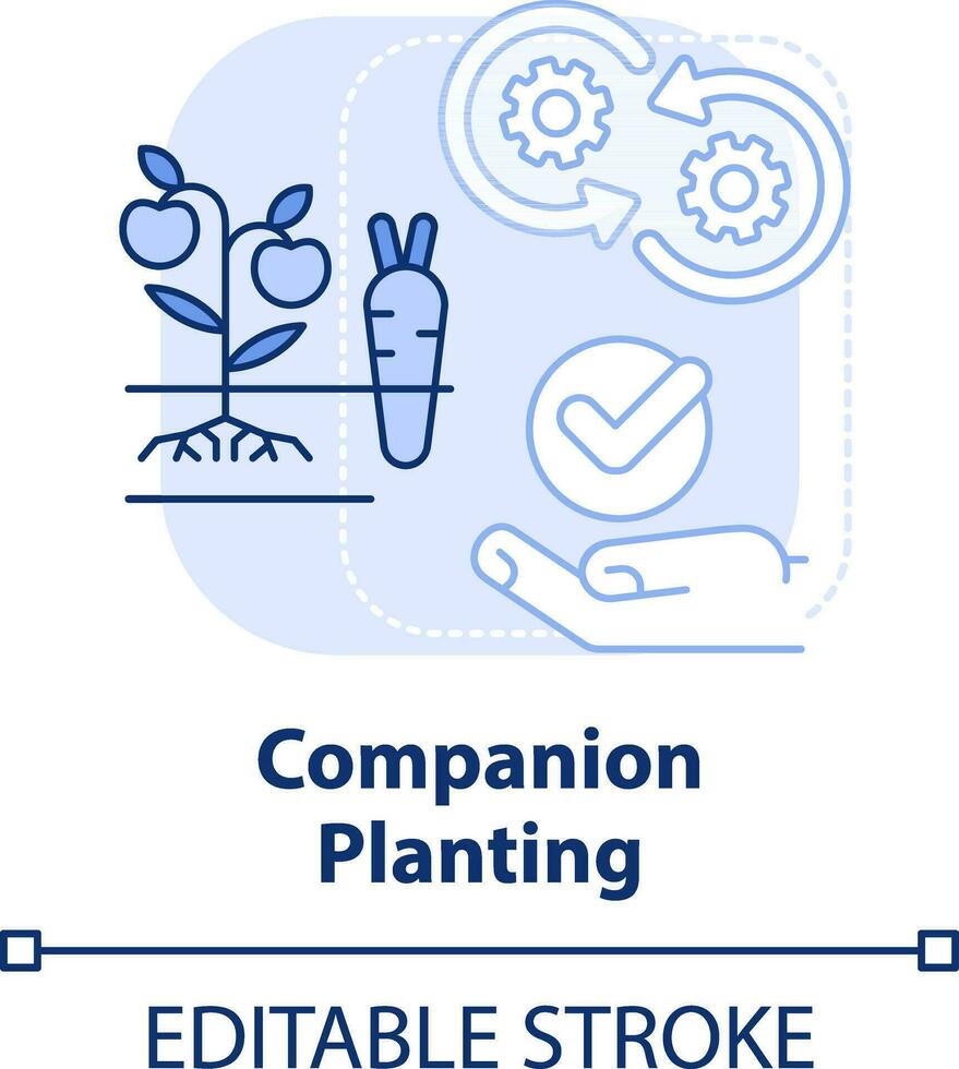 un compagnon plantation lumière bleu concept icône. plante différent cultures ensemble. jardinage abstrait idée mince ligne illustration. isolé contour dessin. modifiable accident vasculaire cérébral vecteur