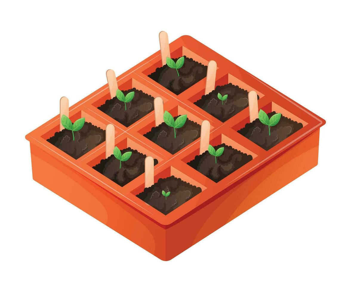 semis boîte avec planté croissance plante choux avec feuilles. le concept de jardinage et agriculture. vecteur isolé dessin animé illustration.