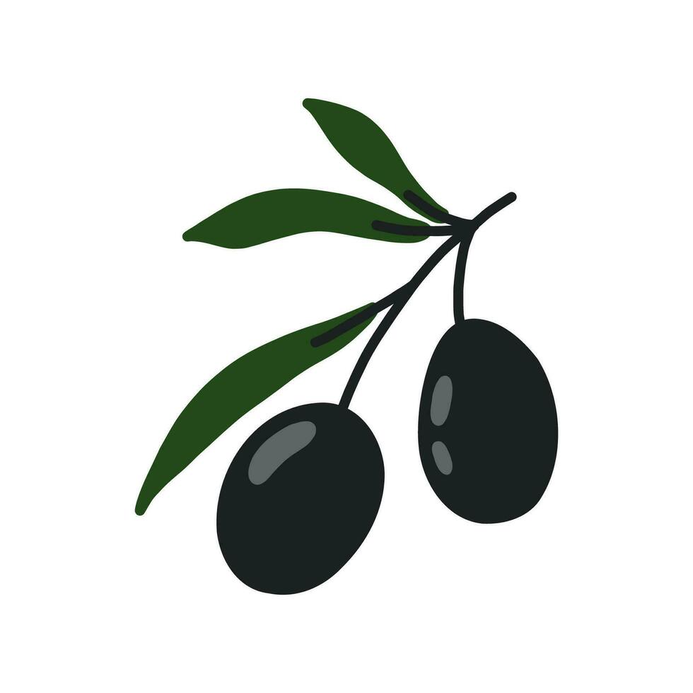 olive main tiré branche avec vert et noir Olives isolé sur blanc Contexte. vecteur illustration