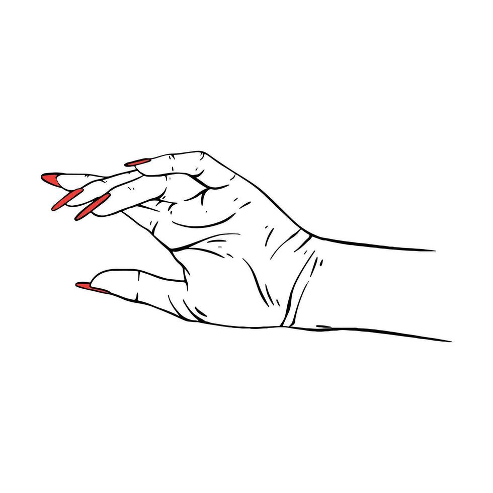 longue rouge ongles main tiré geste esquisser vecteur illustration ligne art