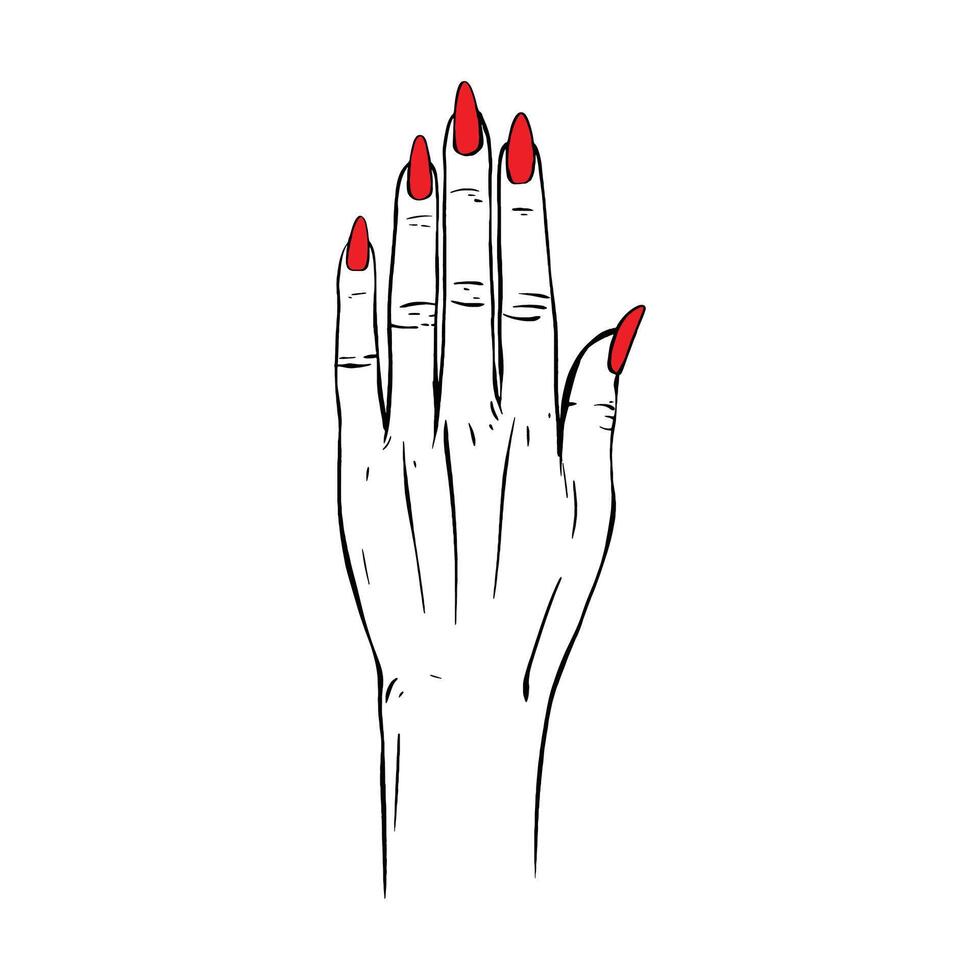 longue rouge ongles main tiré geste esquisser vecteur illustration ligne art