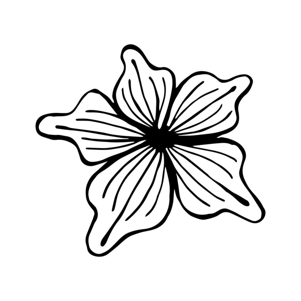 une Facile silhouette de une fleur avec pétales et déchiqueté bords. main dessiné, griffonnage style, noir contour sur une blanc Contexte vecteur