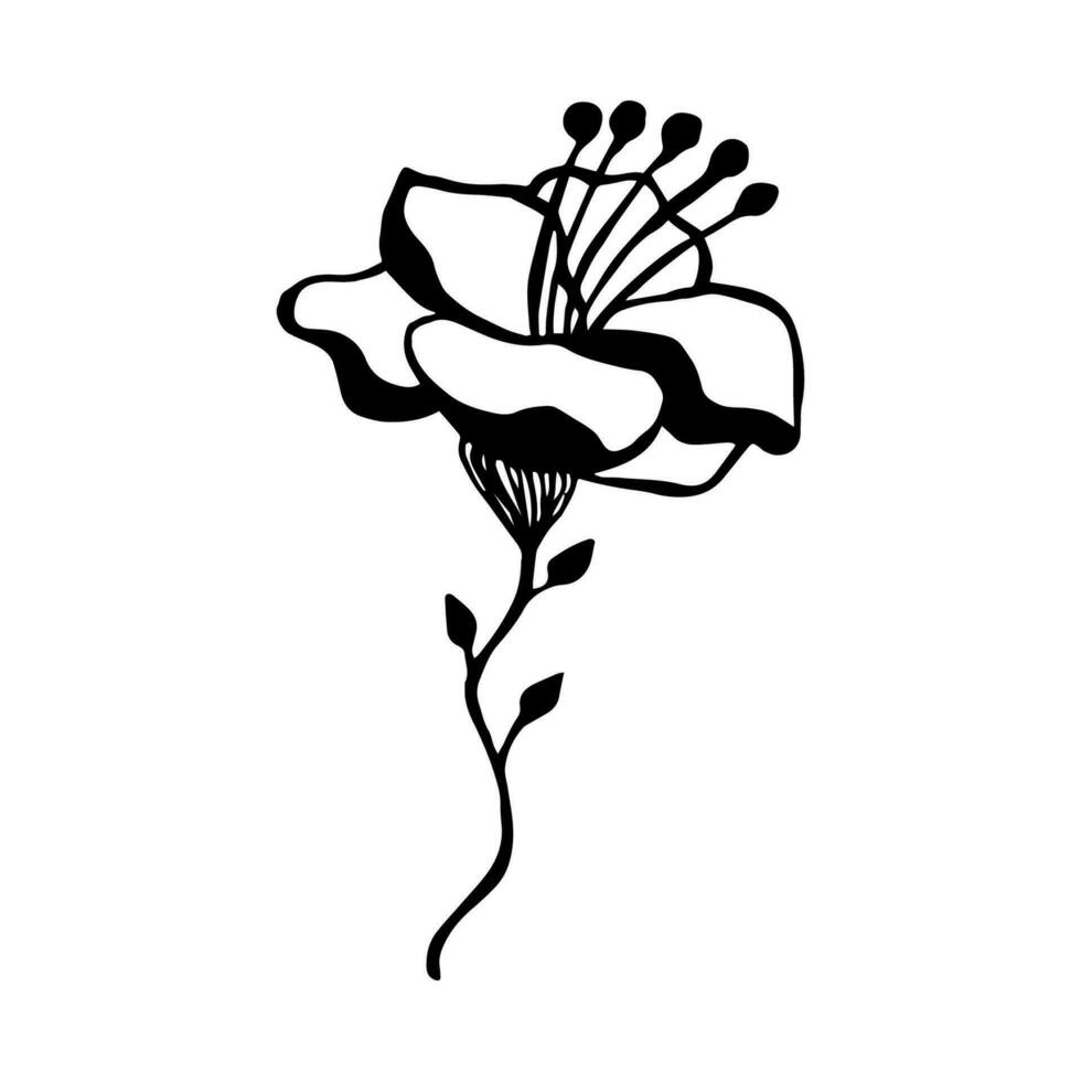 Facile silhouette de sauvage Rose fleur avec étamines. tiré par main, griffonnage style, noir silhouette sur une blanc Contexte vecteur