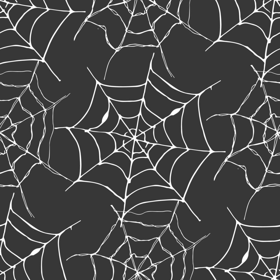 illustration vectorielle de toile d'araignée transparente motif. fond web esquissé dessiné à la main vecteur