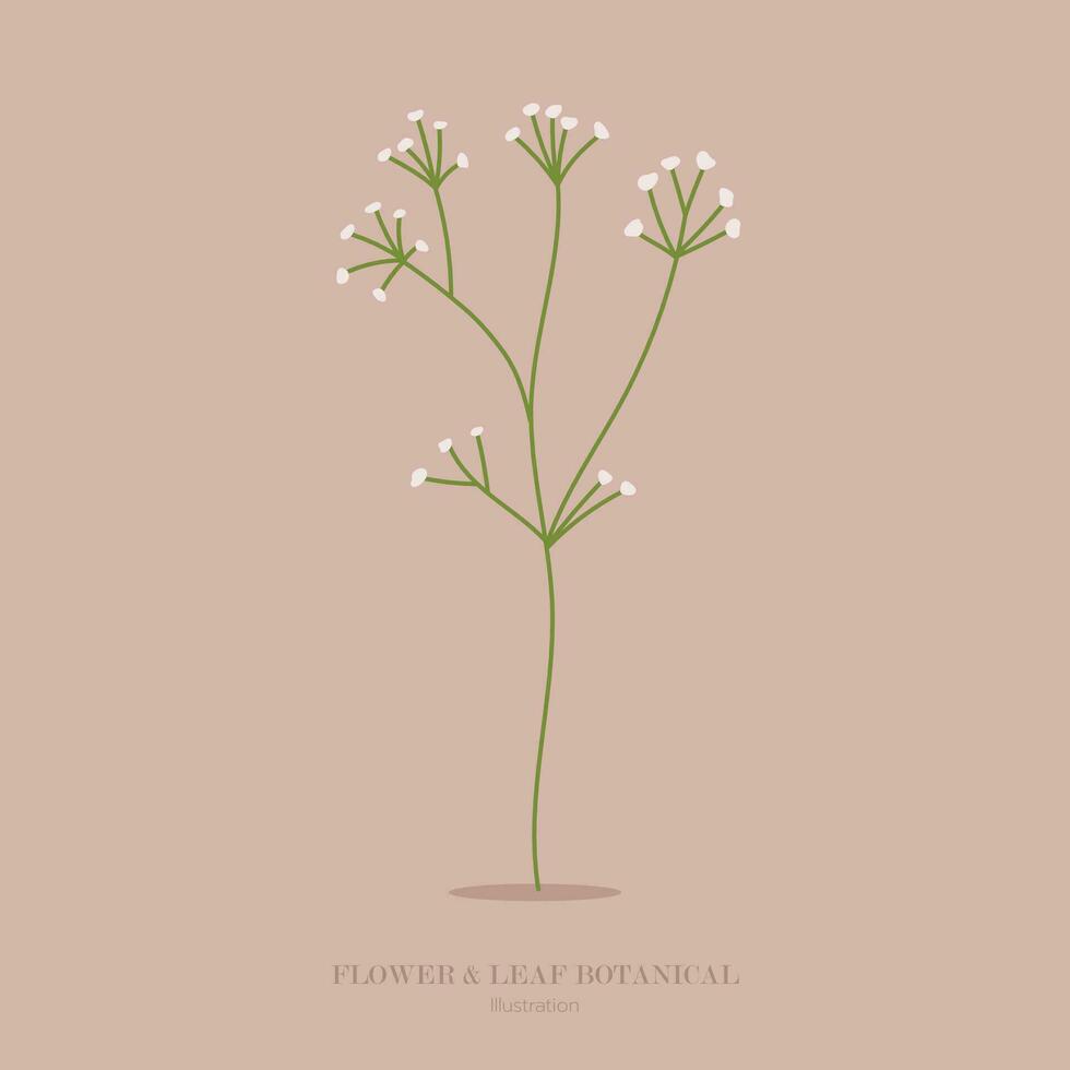 fleur et herbe botanique illustration. vecteur