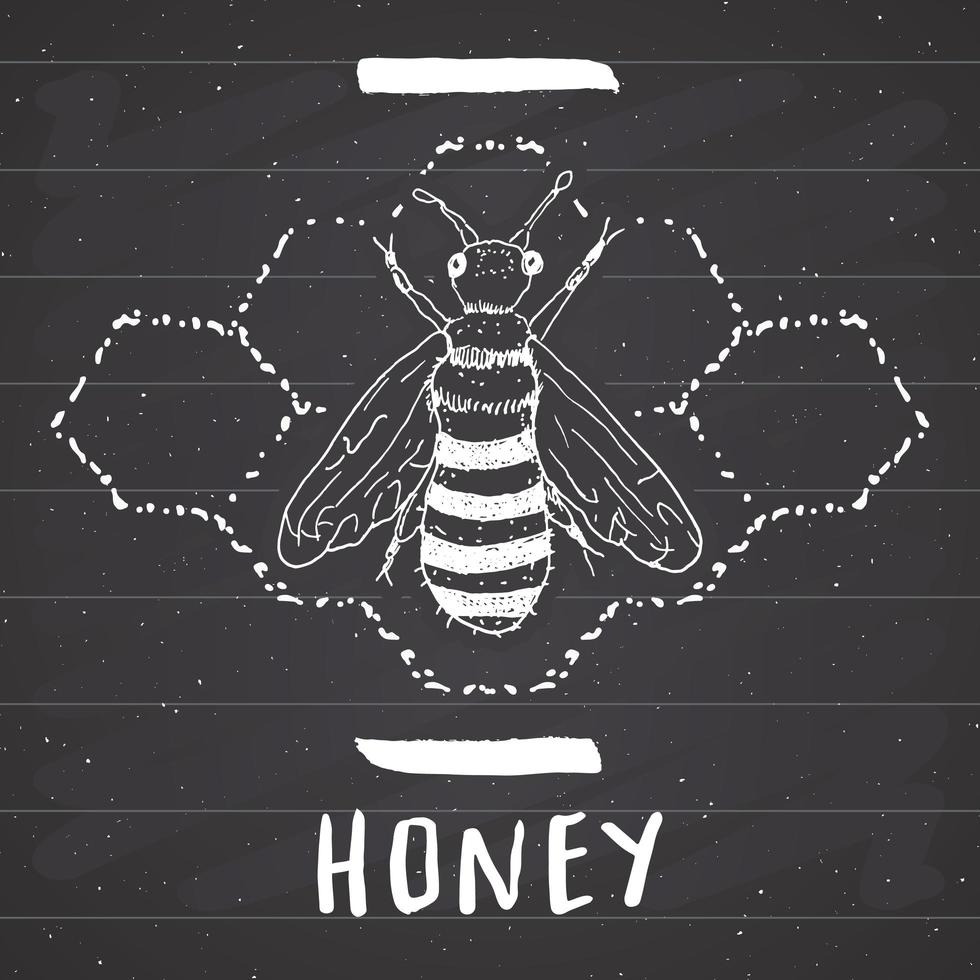 étiquette vintage, abeille dessinée à la main, insigne texturé grunge, modèle de logo rétro, illustration vectorielle de typographie design sur tableau noir vecteur