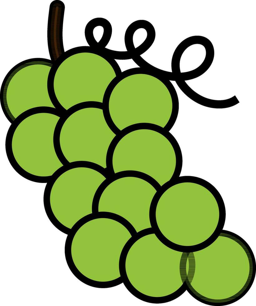 les raisins dans vert couleur. vecteur