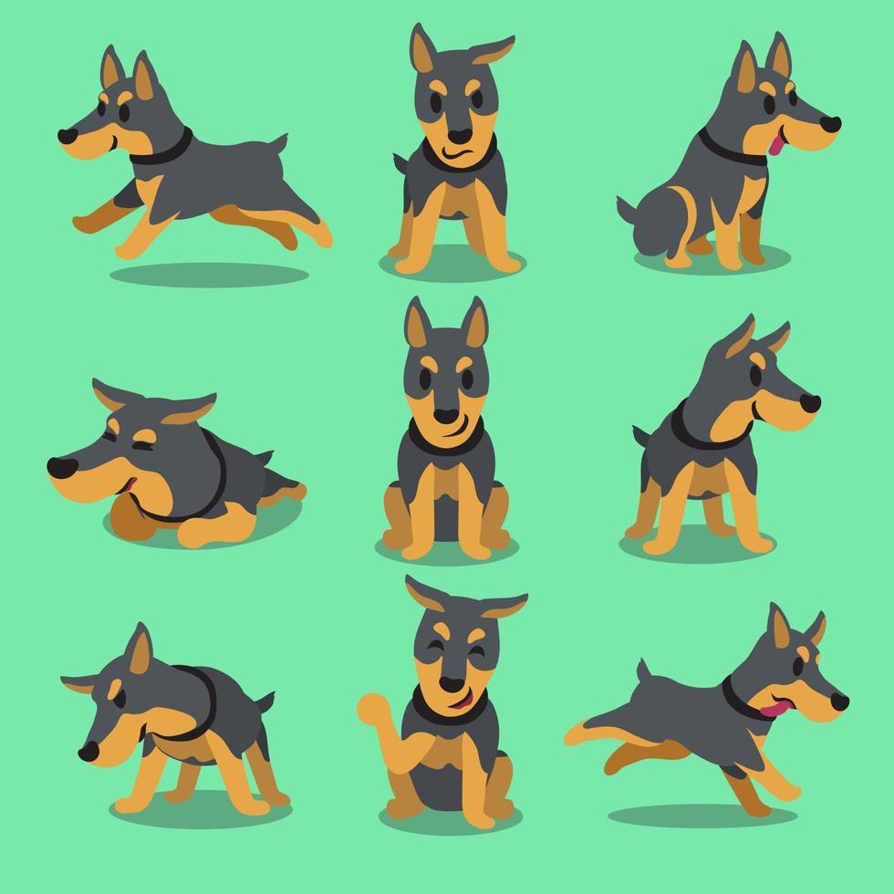 Poses de chien doberman de personnage de dessin animé vecteur