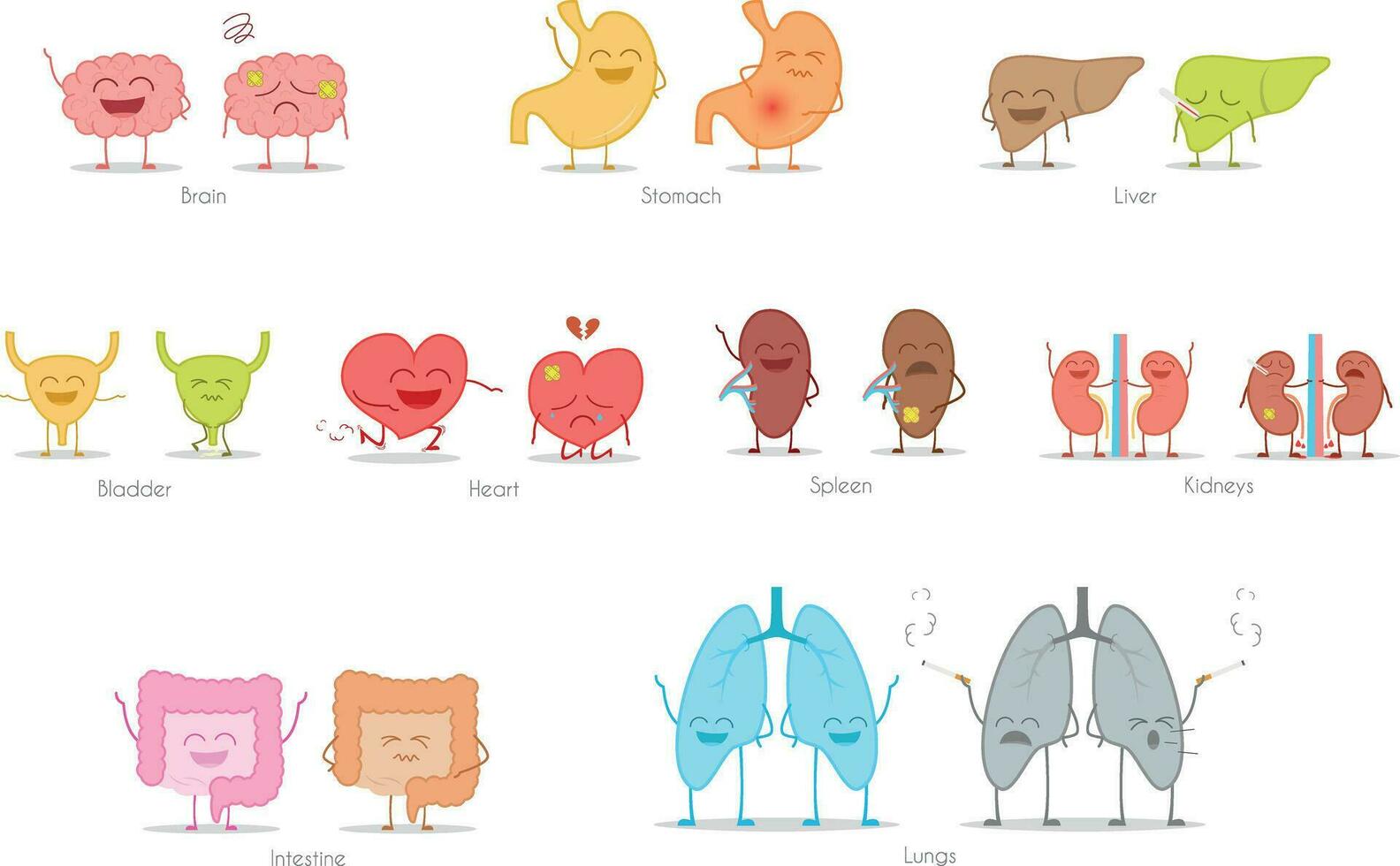 ensemble de en bonne santé et malade Humain organes dans dessin animé style. vecteur illustration