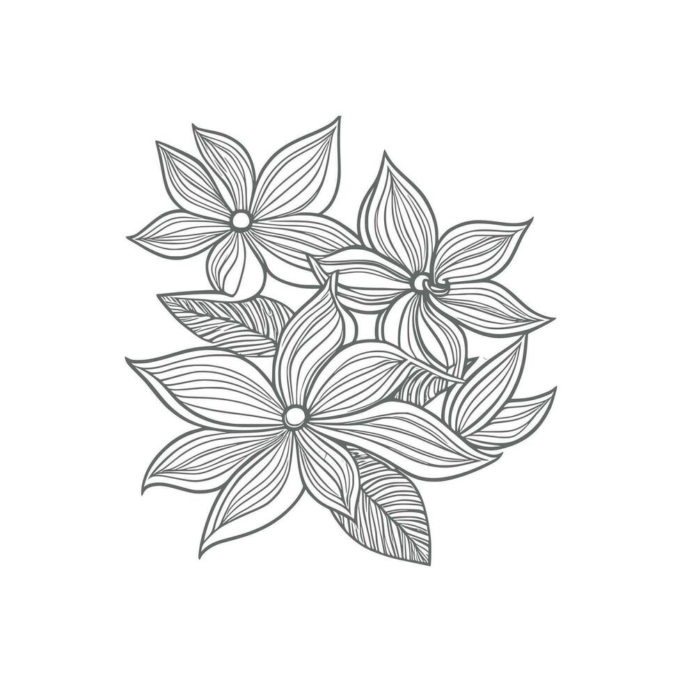 isolé Marguerite ligne art floral clipart vecteur