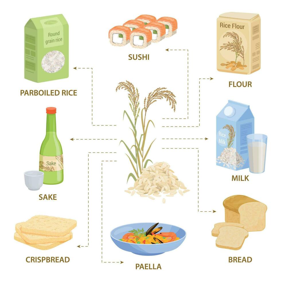 riz des produits plat infographie vecteur