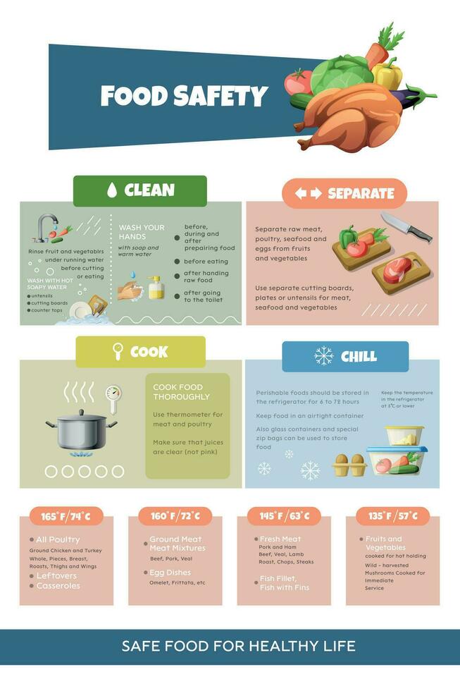 nourriture sécurité catégories infographie vecteur