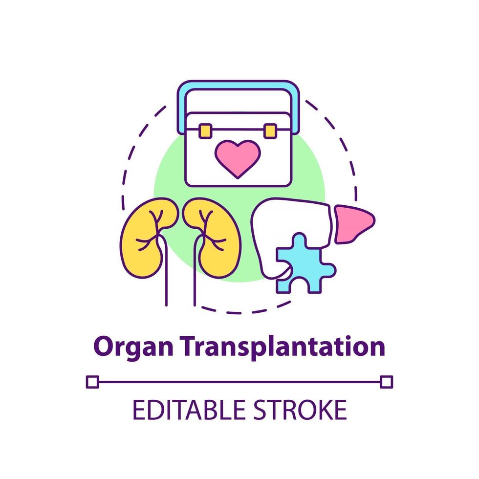 icône de concept de transplantation d & # 39; organes vecteur