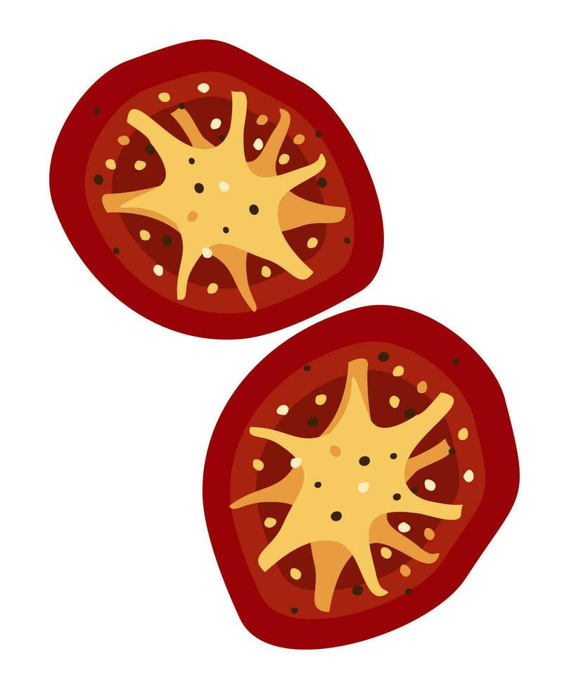 séché tomates. deux tranches. vecteur isolé illustration.