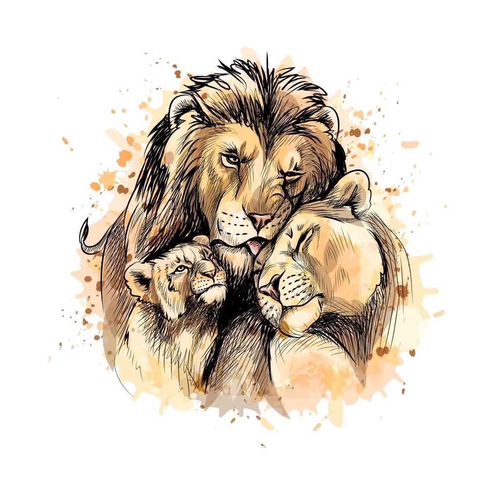 famille de lions d & # 39; une éclaboussure d & # 39; illustration vectorielle de croquis dessinés à la main aquarelle de peintures vecteur