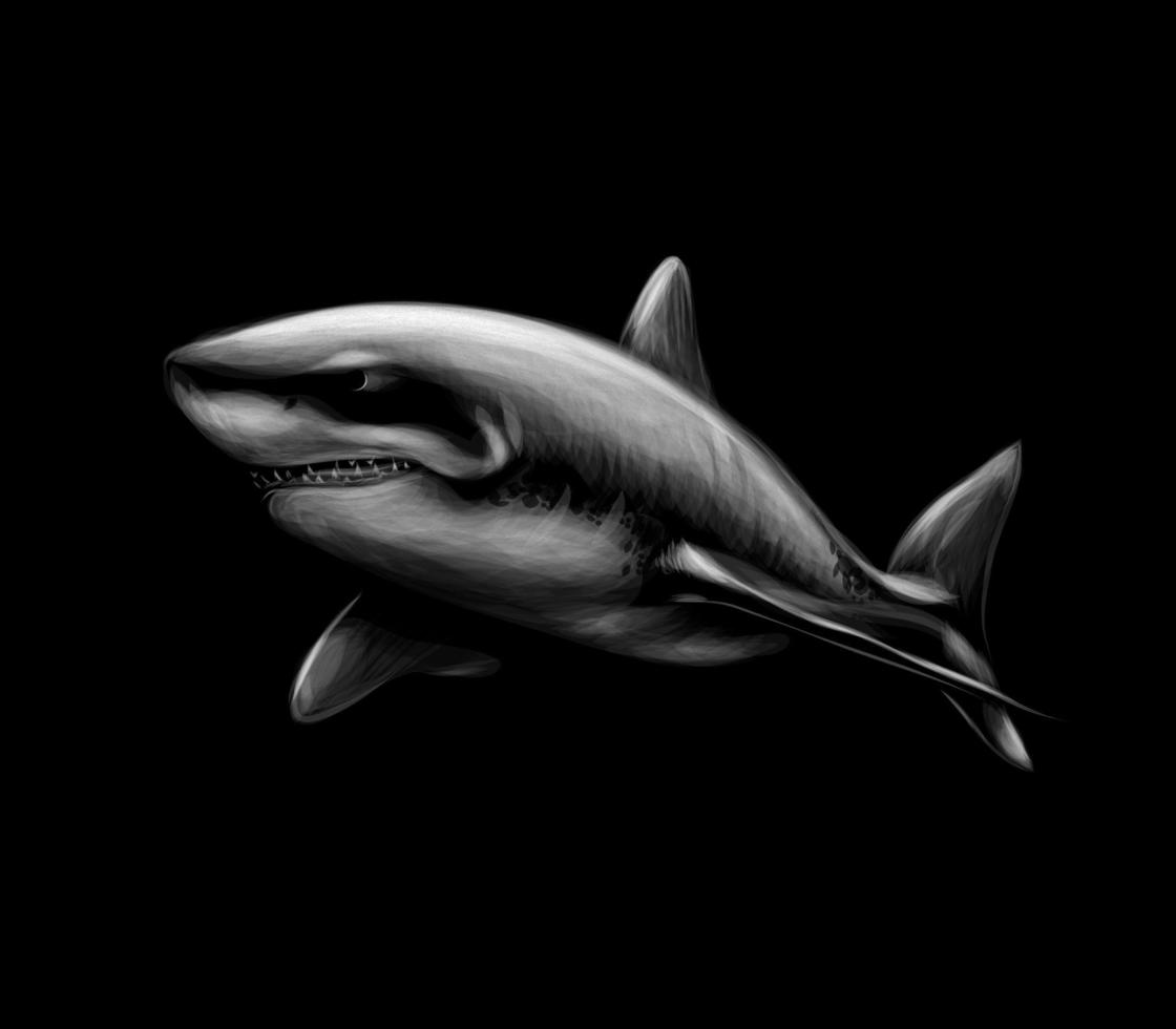 grand requin blanc sur une illustration vectorielle de fond noir vecteur