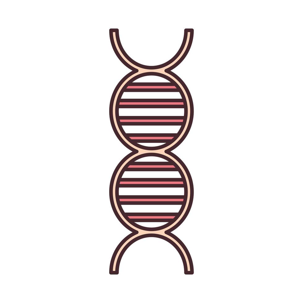 molécule d'ADN génétique vecteur