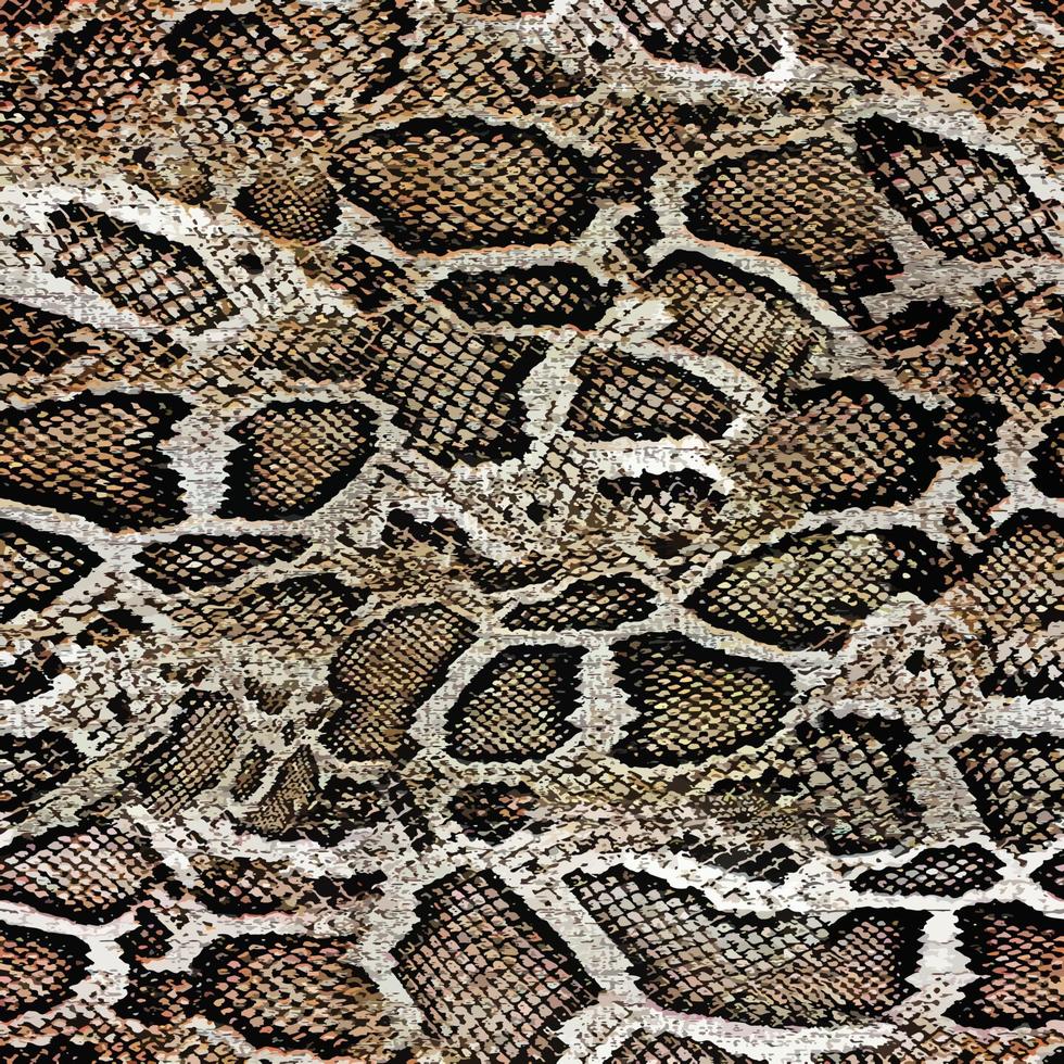 modèle vectorielle continue de peau de serpent vecteur