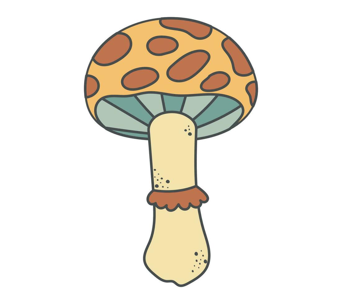 vecteur isolé psychédélique toxique champignon mouche agaric dans rainure style. hippie voyage concept.