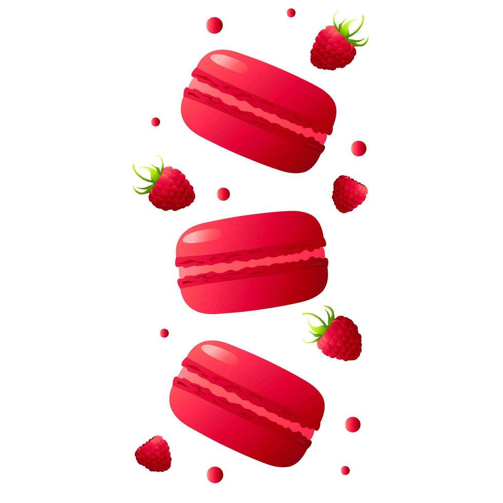 rouge macarons avec framboises.hautement détaillé dessert, macaron, bonbons, menu conception, Restaurants magasin. pente macarons. vecteur illustration