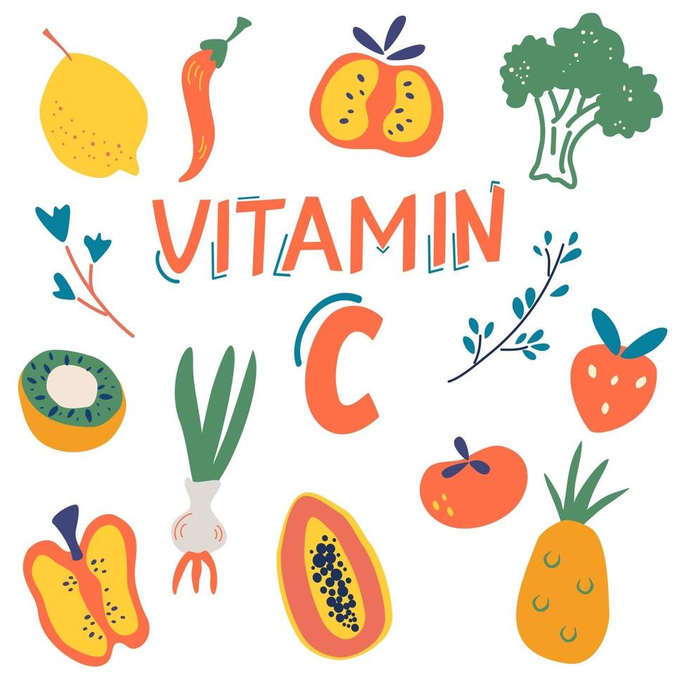 sources de vitamine c ensemble fruits et légumes enrichis en acide ascorbique alimentation diététique composition de nutrition organique alimentation saine produits diététiques illustration de dessin animé vecteur plat