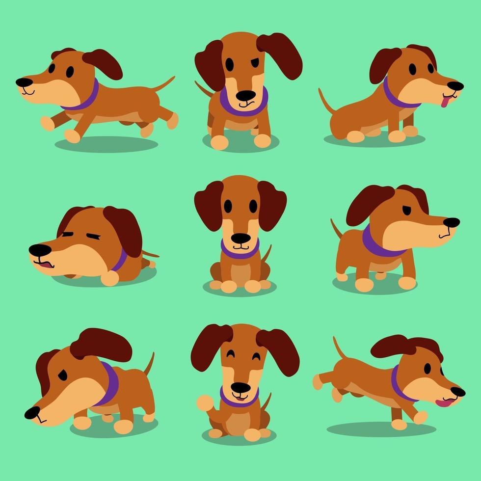 Poses de chien teckel de personnage de dessin animé vecteur