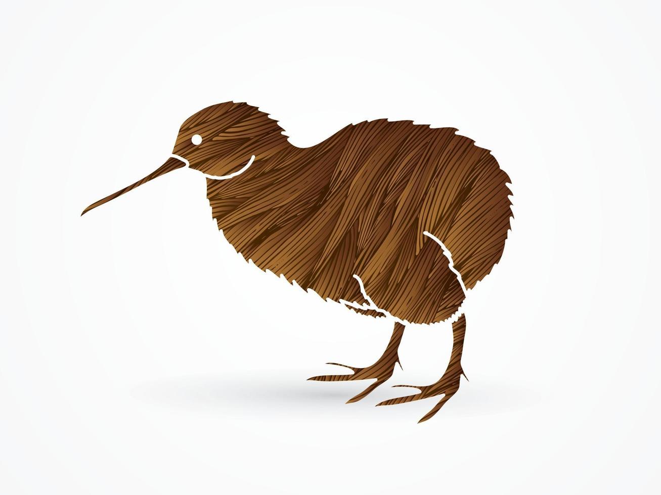 vecteur graphique oiseau kiwi