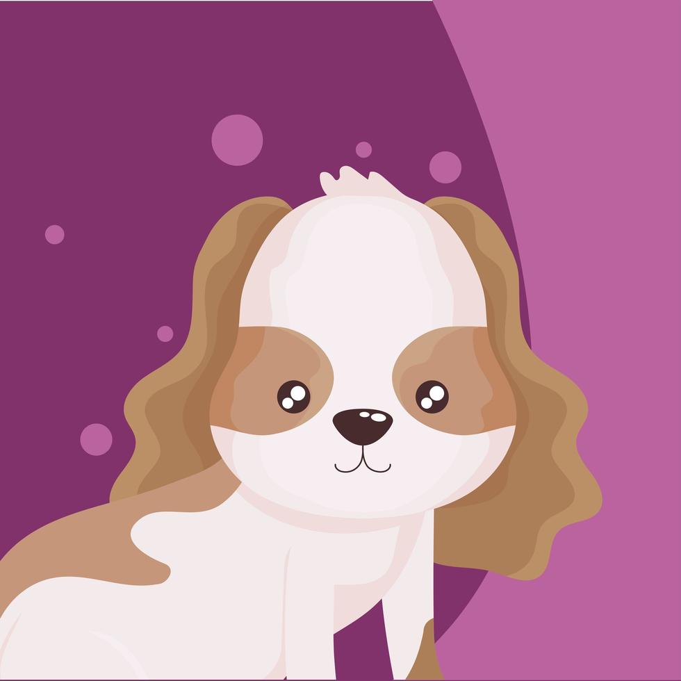 Portrait de mignon petit chien fond violet vecteur