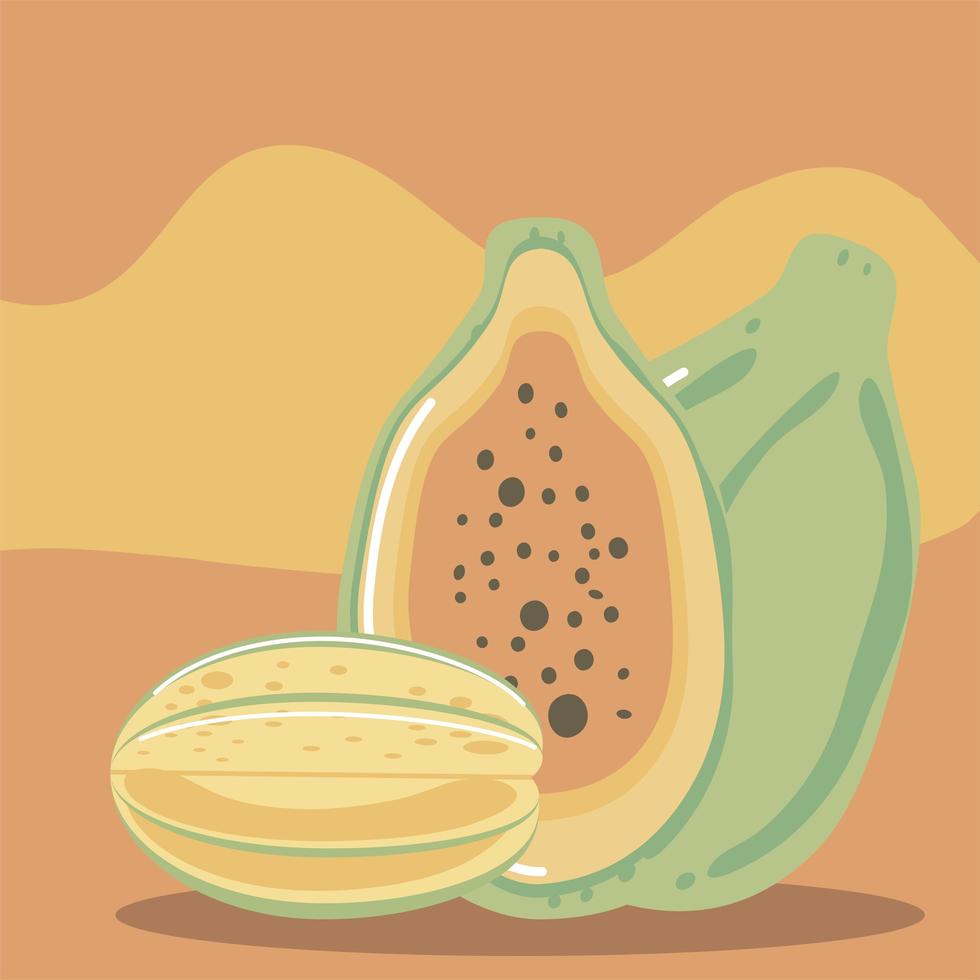 papaye fruits frais bio alimentation saine vecteur
