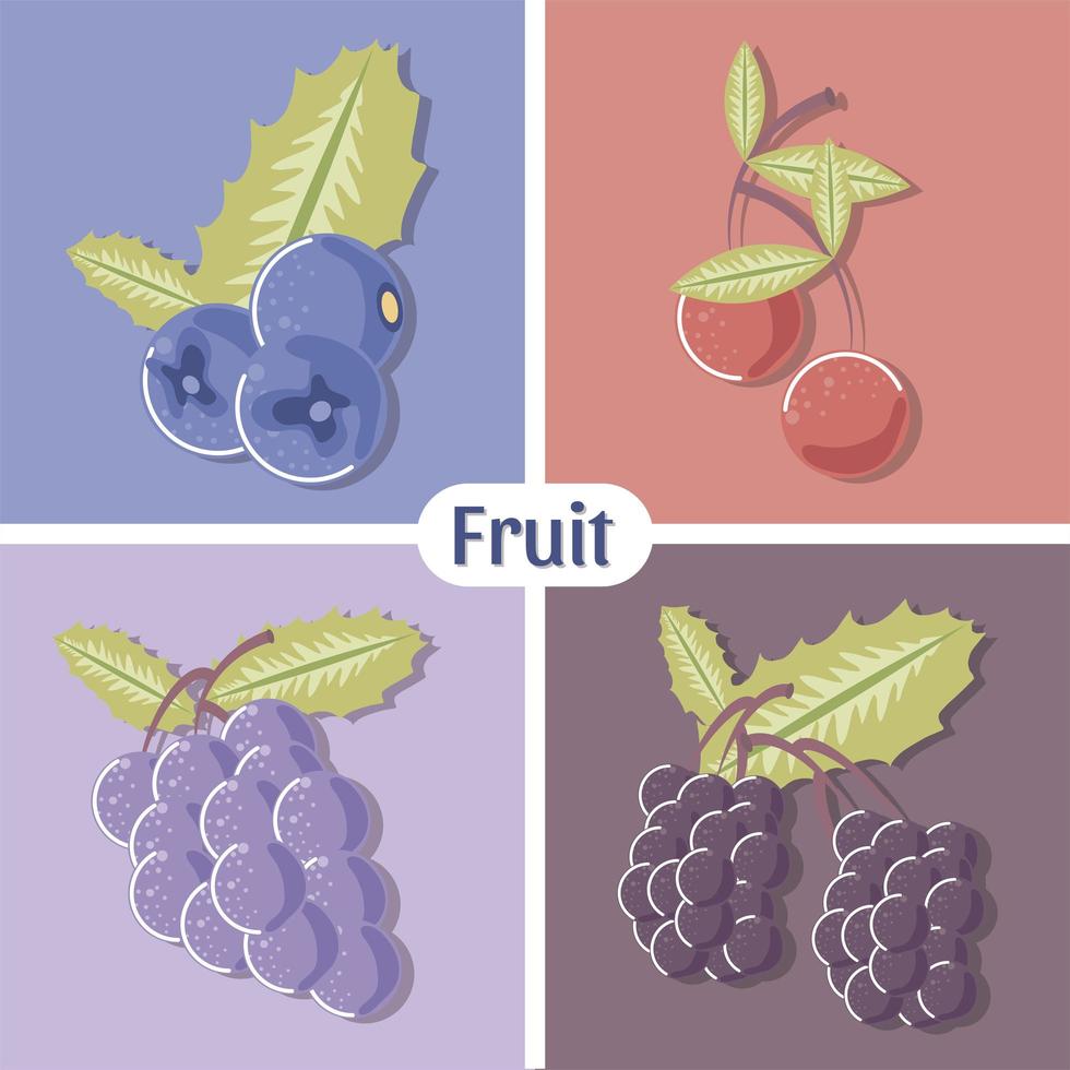 fruits myrtille raisins cerise et framboise fraîche vecteur