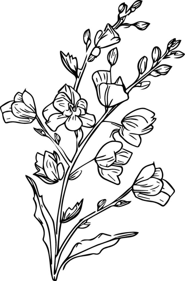 tatouage Facile delphinium fleur dessin, juillet naissance fleur larkspur dessin, minimaliste juillet naissance fleur larkspur tatouage, larkspur juillet fleur tatouage, juillet naissance fleur tatouage, vecteur