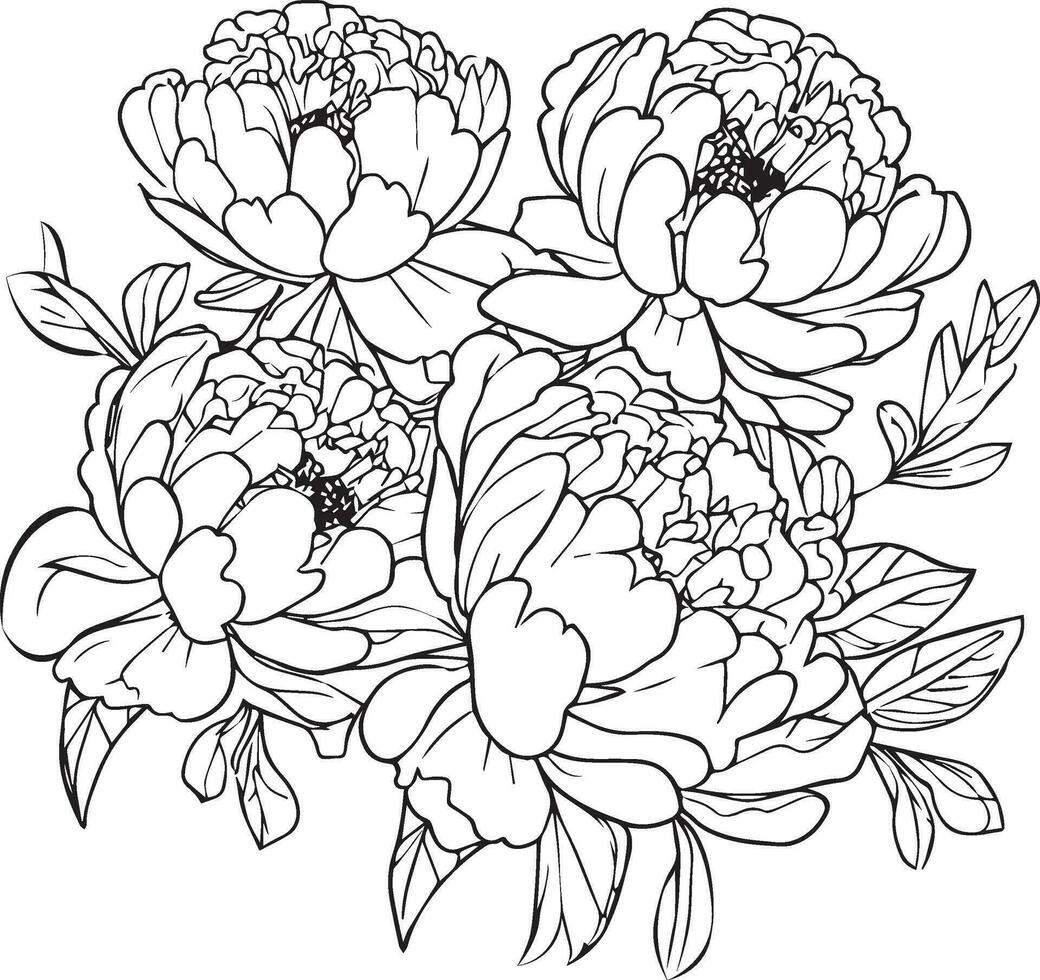 pivoine fleur, bouquet Zen griffonnage art, fleurs coloriages page, et livres, une esquisser de contour vecteur graphique main tiré illustration isolé sur blanc arrière-plan, pivoine ligne dessin clipart.