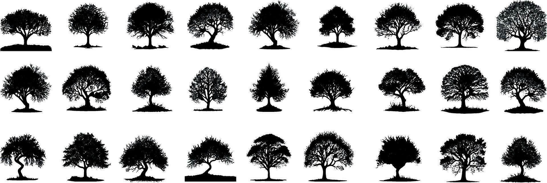 une ensemble de 27 pièces arbre silhouette conception avec transparent Contexte et vecteur illustration