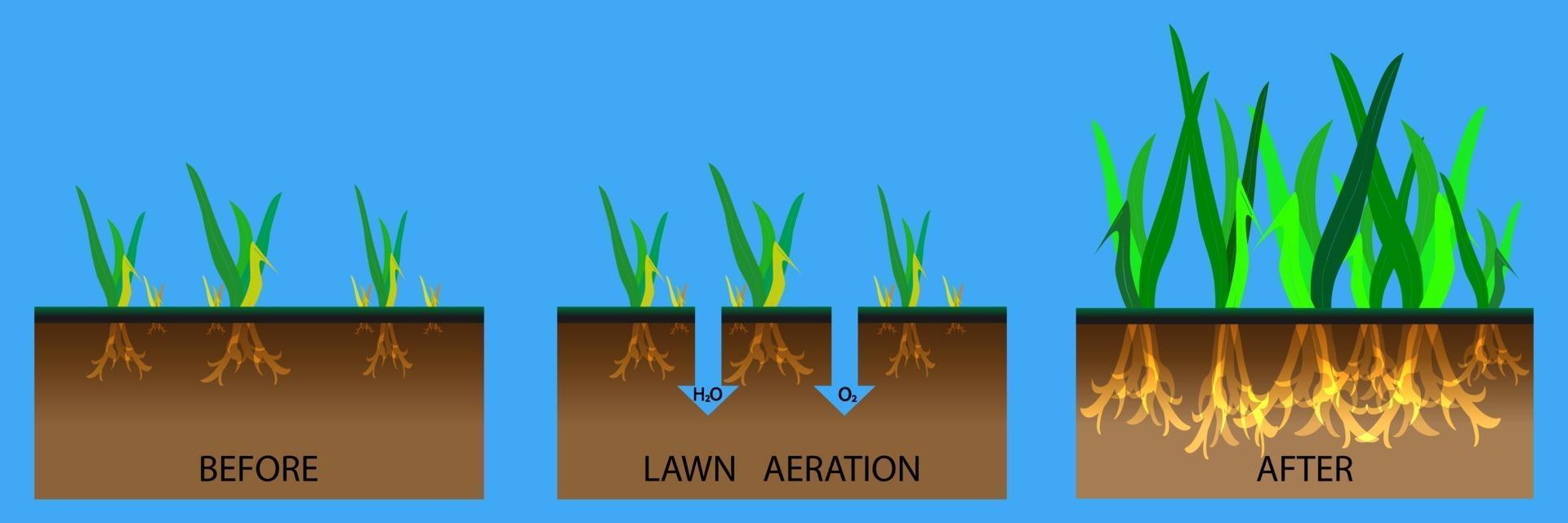 illustration de l'étape d'aération de la pelouse vecteur