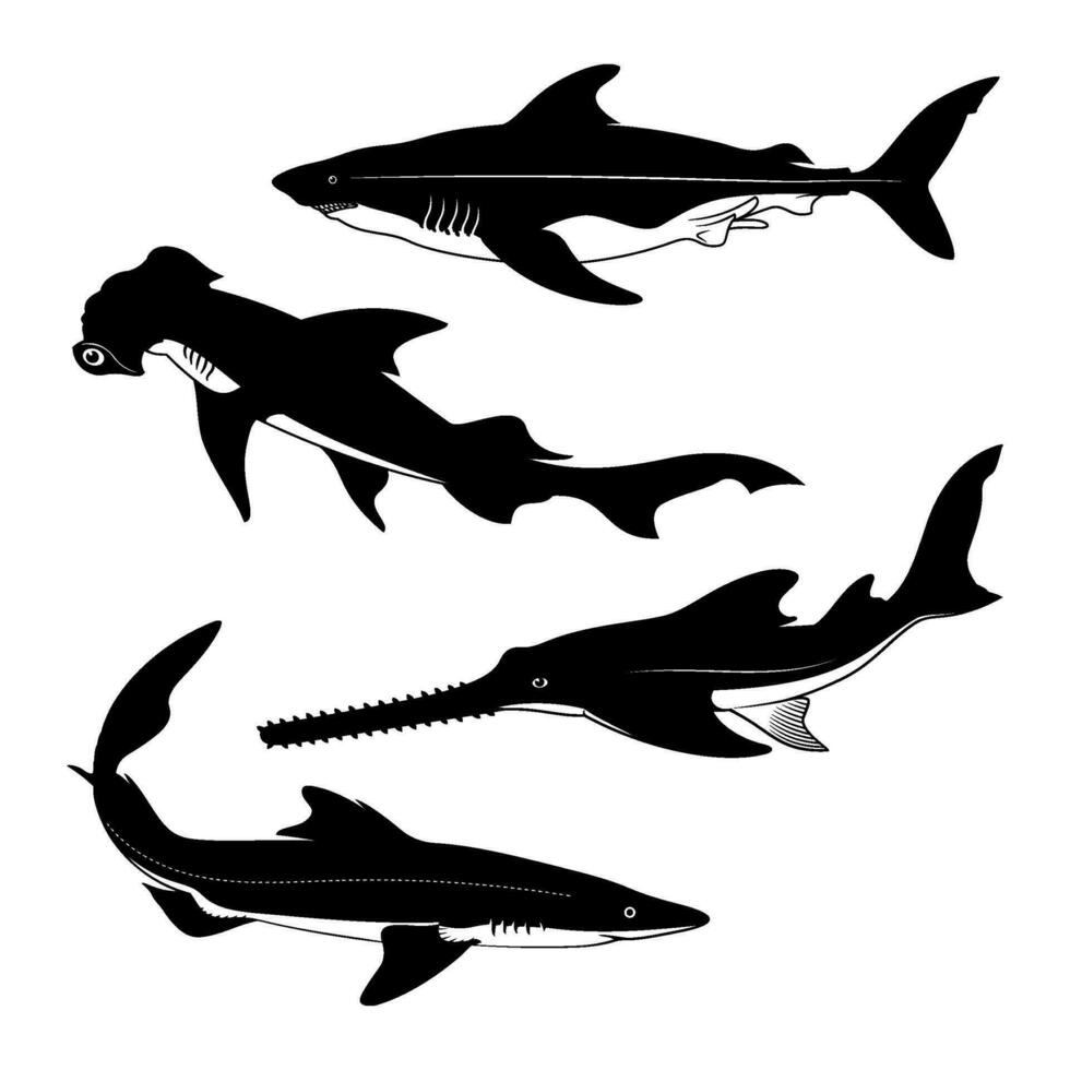requin espèce silhouettes. l'aiguillat, tête de marteau, scie, chien de mer. vecteur cliparts.