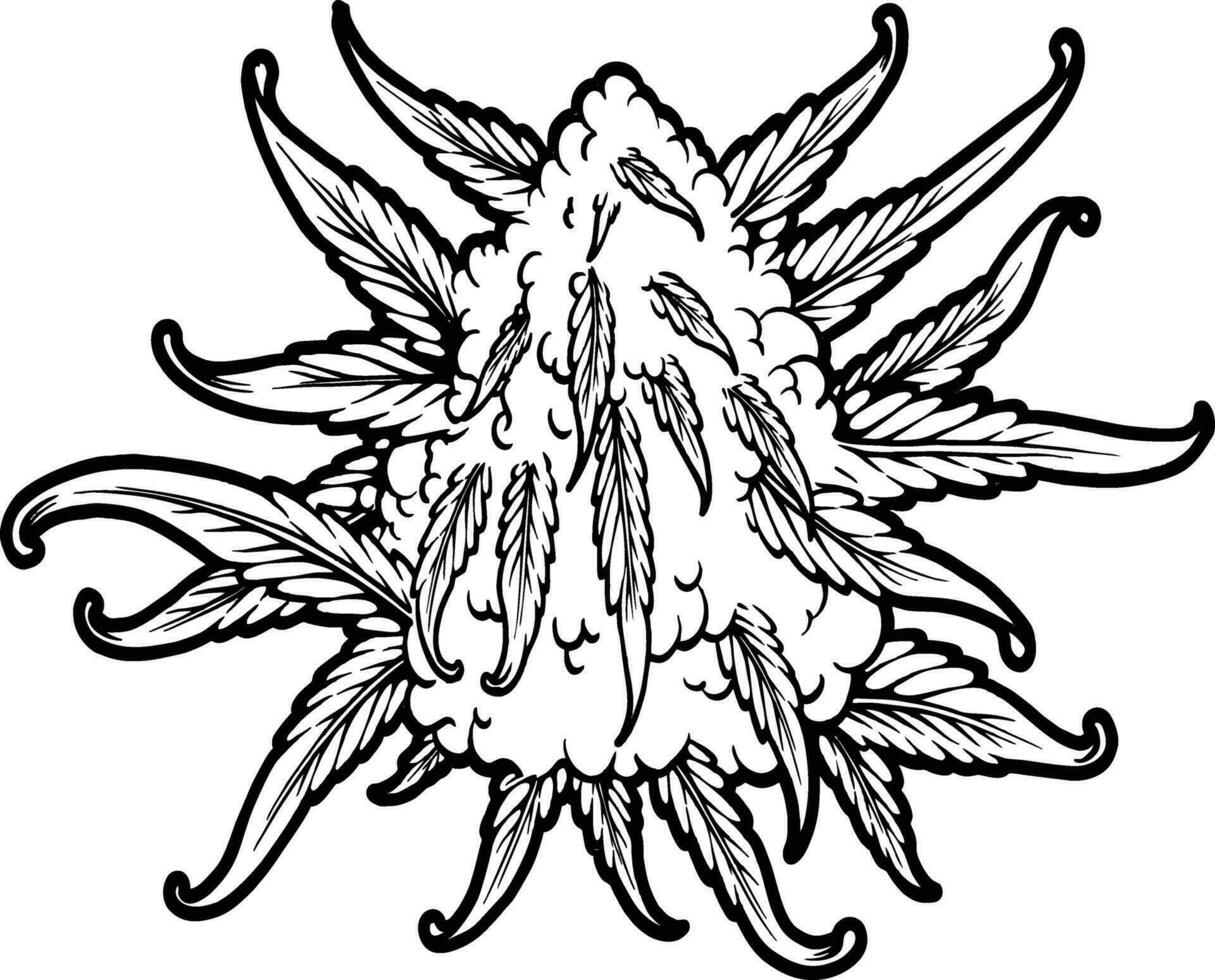 cannabis bourgeon botanique plante logo des illustrations monochrome vecteur des illustrations pour votre travail logo, marchandise T-shirt, autocollants et étiquette conceptions, affiche, salutation cartes La publicité affaires entreprise