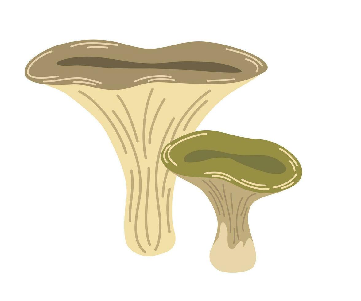 toxique champignon vénéneux champignons. sauvage forêt champignons dans l'automne. vecteur main dessiner illustration isolé sur le blanc Contexte.