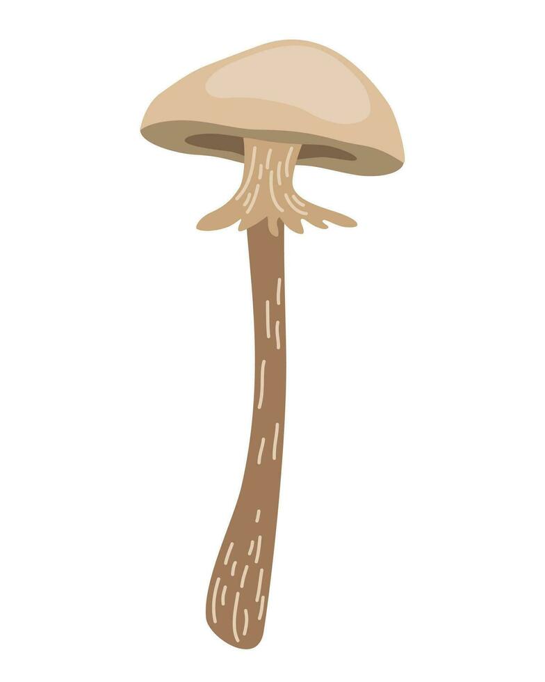 toxique champignon. champignon vénéneux. sauvage forêt champignon dans l'automne. vecteur main dessiner illustration isolé sur le blanc Contexte.